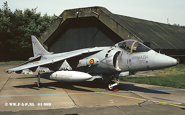 McDonnell Douglas EAV-8B Harrier,01-909  VA.1A-21  c/n-E9   Esc 009  Spanish Navy / Armada At Leeuwarden 02-07-1994