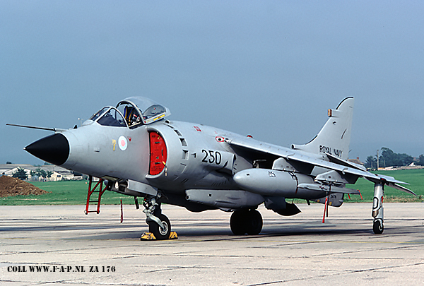 British Aerospace Sea Harrier FRS1   ZA176 250 c/n-41H/912027   809 Squadron Royal Navy     