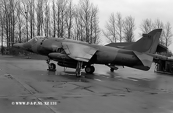 Hawker Siddeley Harrier GR3  XZ131  M  c/n-712190   4-Sqn at Leeuwarden 