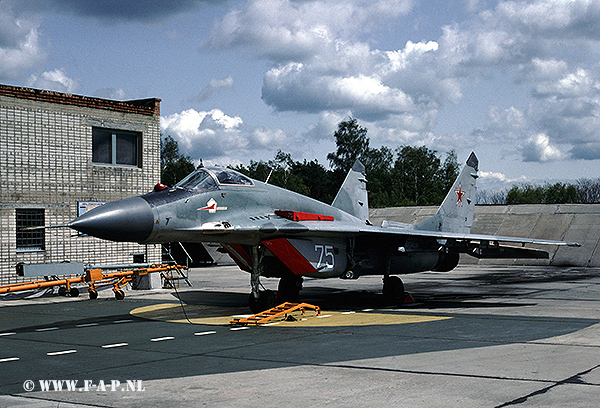 MiG 29-Fulcrum C   75   of 787-IAP  Finow 14-04-1993