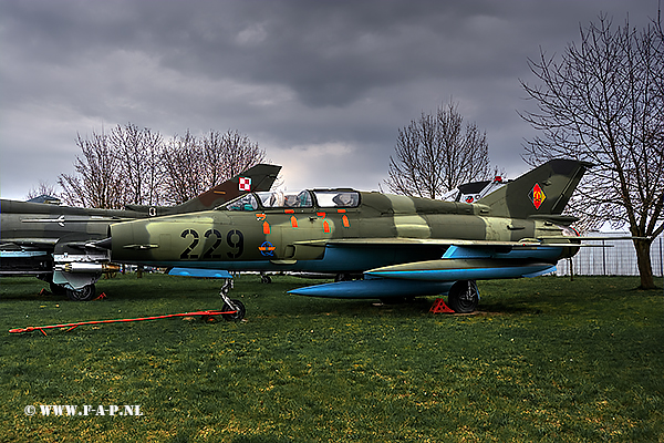 MiG 21-UM   229  c/n  516921056     JG-3