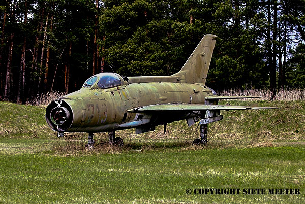 MiG 21F-13    713   Ex  JG-3_  TUP Lehnin  23-05-2005