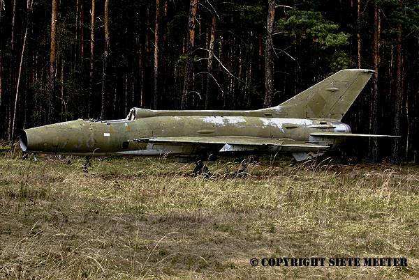 MiG 21F-13    736   Ex  JG-3_  TUP Lehnin  23-05-2005
