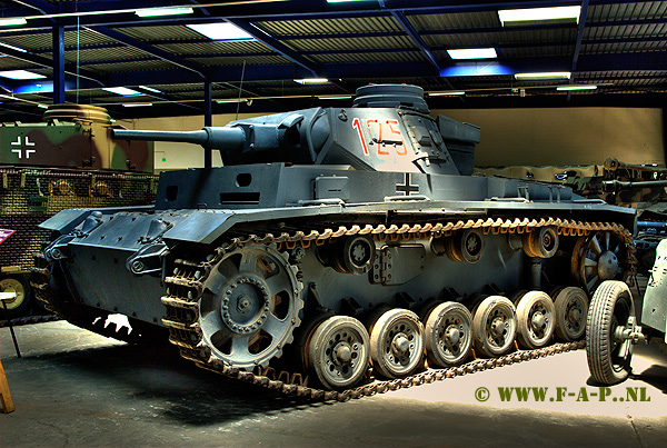 SdKfz -141t    Pzkw-3  125    Museum Des Blindes Suamur  28-06-2009